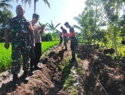 Danramil 1615-05/Masbagik : Kompi B Satlak HIU Latsitarda Nusantara Buka Jalan Tani