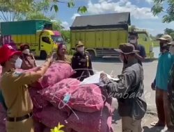 Kadistan Sumbawa: Pendistribusian Bibit Bawang Merah 80 Persen diterima Kelompok