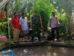 Babinsa Kodim 1615/Lotim Support Peternak Ikan Air Tawar