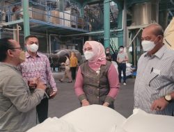 Kunker Ke Pabrik Garam di Surabaya, Wabup Novi Harapkan Jalin Kerjasama