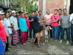 Percepat Pemulihan Ekonomi Pasca Covid-19, Ketua DPRD Gelontorkan Bantuan Ternak
