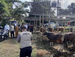 Polresta Mataram Bersama Dinas Peternakan Lakukan Penyemprotan Disinfektan