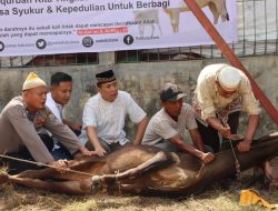 Peringati Idul Adha Polres Batubara Potong Enam Ekor Hewan Qurban