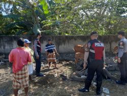 Dialogis Satgas Ops Aman Nusa II Kunjungi Kelompok Ternak.