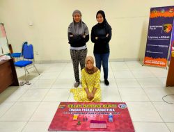 Miliki Sabu, Seorang IRT Ditangkap Polisi