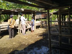 Satgas Deteksi Ops Aman Nusa II Polresta Lakukan Pulbaket Kepada Kelompok Ternak