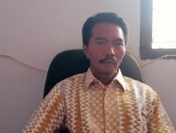 Tok!, 935 Ekor Sapi dari Fokir Dewan Tuntas Ditender