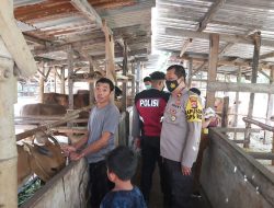Pastikan Pemberian Vaksin PMK, Polresta Mataram Cek Kandang Ternak