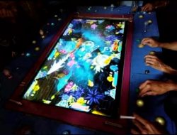 Ketua Aliansi Pers Batubara Amin: Minta APH Tindak Judi Tembak Ikan