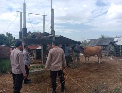 Polsek Praya Barat Gencarkan Vaksin Antisipasi PMK