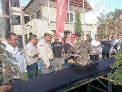 Wabup Sumbawa Apresiasi Pameran dan Kontes Bonsai Tingkat Nasional