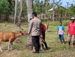 Bhabinkamtibmas Dampingi Vaksinasi Hewan Ternak