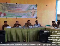 Distan Bentuk BUMP di Tujuh Zona, Ini Kata Wayan