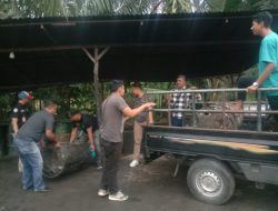 Sat Reskrim Polres Batubara Grebek Gudang CPO Ilegal