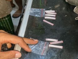 Tiga Orang Penjahat Narkoba di Tangkap Polisi
