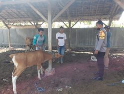 Bhabinkamtibmas Desa Luk Dampingin Vaksinasi PKM