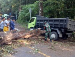 Gerak Cepat Koramil 1615-10/Sembalun dan Warga Bersihkan Pohon Tumbang