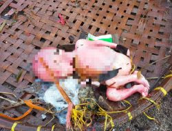 Polisi Evakuasi Penemuan Mayat Bayi di Pantai Skip Ampenan