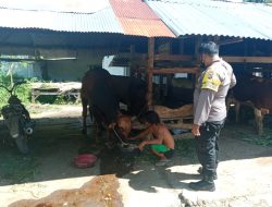 BKTM Cek Kelompok Ternak di Wilayah Binaannya