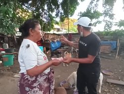 Dituduh Menggelapkan Uang, Animals Hope Shelter Melapor ke Polda NTB