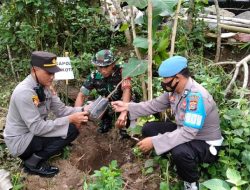 Penanaman Sejuta Pohon di Kawasan Embung Sekotong