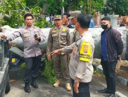 Satu Unit Mobil Pickup di Mataram Tertimpa Pohon Tumbang
