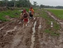 Akses Jalan Rusak Parah, Kades Aek Nauli Sibuk Di Lokasi Pembangunan