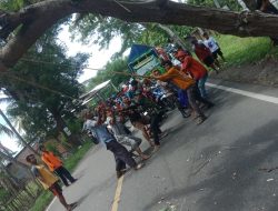 Personil Polsek Buer Bersama Warga Evakuasi Pohon Tumbang