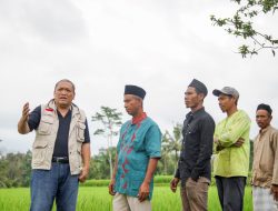 HBK Sarankan NTB Mulai Perbanyak Food Estate, Membangun Ketahanan Pangan