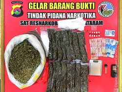 Polresta Mataram Amankan 5kg Ganja dan Belasan gram Sabu