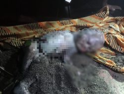 Polsek Ampenan Evakuasi Mayat Bayi Di Pantai Mujang