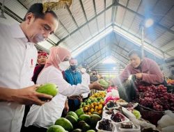 Presiden Jokowi Cek Harga Bahan Pokok di Pasar Baturiti