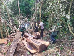 Cegah Pembalakan Liar, Personil Kodim 1607/Sumbawa  Patroli Gabungan Pengamanan Hutan