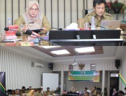 Wabup Novi Minta Pempus Bantu dalam Penangan Stunting dan Kemiskinan