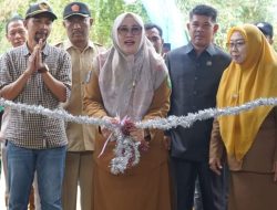 Wabup Novi Launching RMU dan Bed Drayer Gapoktan Tenri Untung