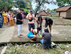Miliki 7 Poket Narkotika pelaku Di Amankan Polisi
