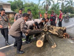 Personil Polsek Praya Barat Evakuasi Pohon Tumbang