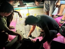 Sat Resnarkoba Polres Sumbawa Temukan Ratusan Botol Miras