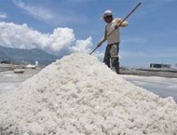 Rahmat Hidayat: Produksi Garam Mencapai 4.336 Ton di Sumbawa