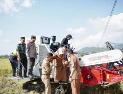 Danrem 162/WB, Dampingi Mentan RI Panen Raya Di Gerung NTB