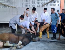 Polda NTB Sembelih Ratusan Ekor Hewan Qurban