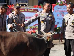 Polres Bima Sumbang 20 Hewan Korban Ke Polsek Jajaran