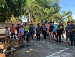 Polsek Taliwang Potong 3 Sapi Saat Hari Raya Qurban 1444 H
