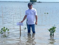 Ketua DPRD Sumbawa Ajak Masyarakat Jaga dan Lestarikan Tanaman Mangrove