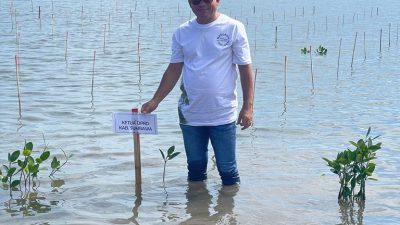 Ketua DPRD Sumbawa Ajak Masyarakat Jaga dan Lestarikan Tanaman Mangrove