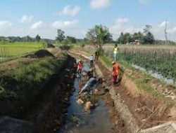 Serap Anggaran 15, 8 Milyar, Iwan: Empat Daerah Irigasi Akan Ditender