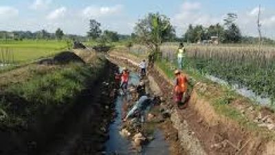Serap Anggaran 15, 8 Milyar, Iwan: Empat Daerah Irigasi Akan Ditender