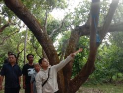 Polsek Bayan Olah TKP di Lokasi  Korban  Gantung Diri