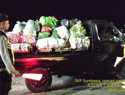 Truck Angkutan Diberhentikan Karantina, Ada Apa?