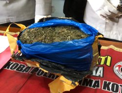 Tim Opsnal Sat Resnarkoba Bima Tangkap Pengedar Ganja
